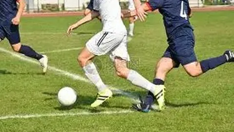 开云体育app入口 产品 110205 ddq