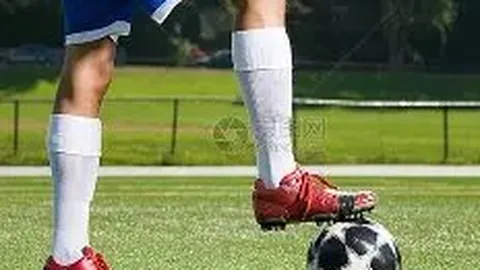 开云体育app入口 资讯 130738 apq