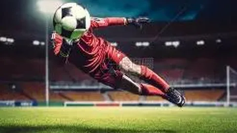 WhatsApp Web使用指南：简易入门教程