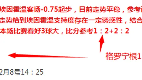 大乐透期号洛迪兹客场胜率分析及专家推荐