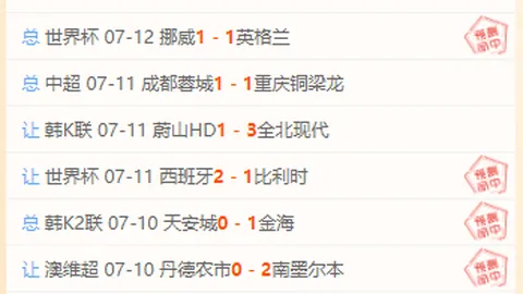 开云体育入口 132906 2