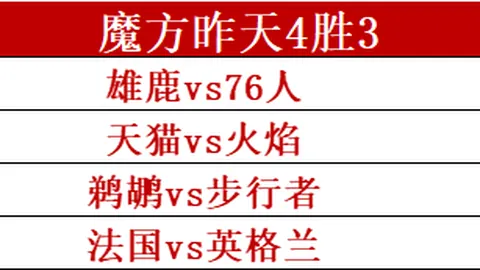 开云体育入口 133511